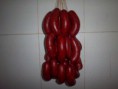 /album/fotogaleria-productos/a100-1774-jpg/
